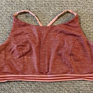 Torrid Sports Bra